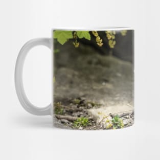 Red Squirrel Mug